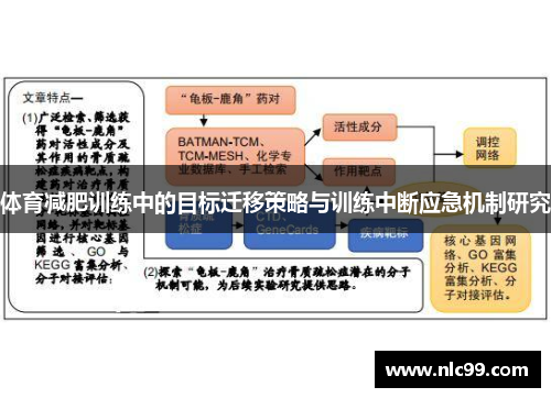 体育减肥训练中的目标迁移策略与训练中断应急机制研究