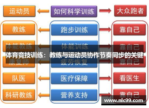 体育竞技训练：教练与运动员协作节奏同步的关键