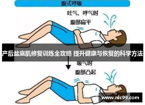 产后盆底肌修复训练全攻略 提升健康与恢复的科学方法
