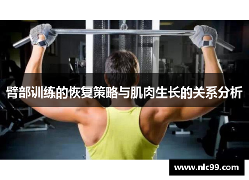 臂部训练的恢复策略与肌肉生长的关系分析